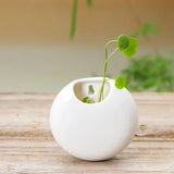 Porcelain Round Wall Hanging Vase for Floral Arrangements, Glazed Finish