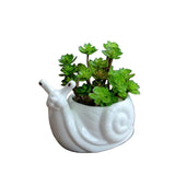 Cartoon Snail Ceramic Succulent Pot Cute Porcelain Flower Vase