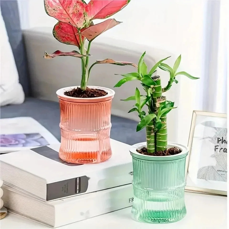 Self Watering Hydroponic Plant Pot Transparent Double Layer Planter