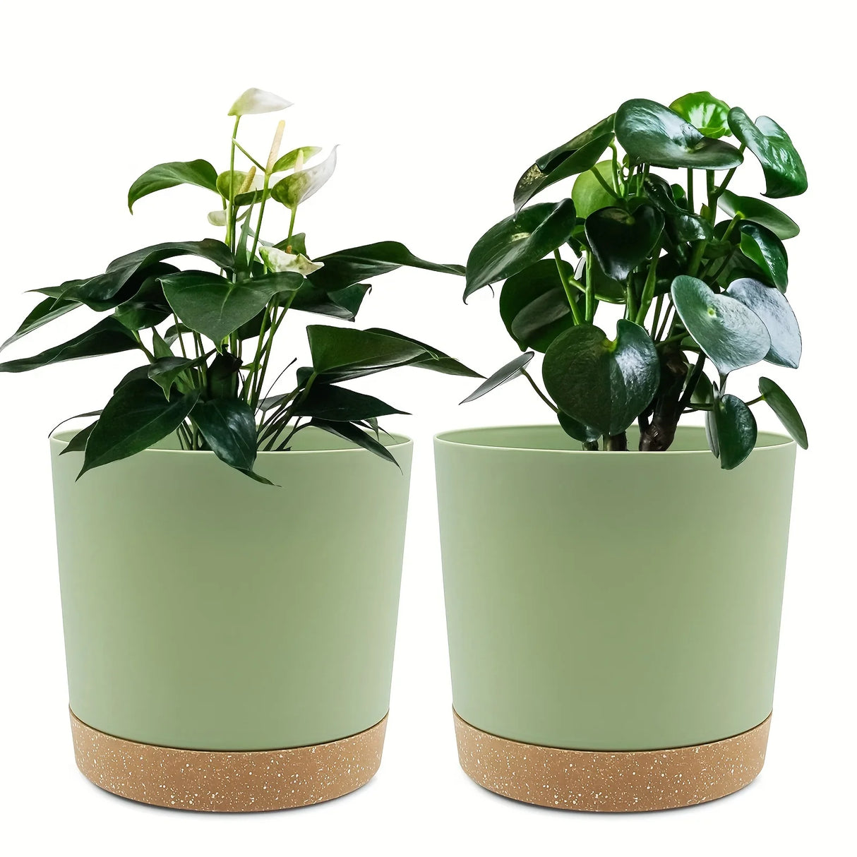2-Pack 6.5in Self-Watering Removable-Bottom Round Plastic Planters Indoor Outdoor
