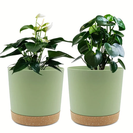 2-Pack 6.5in Self-Watering Removable-Bottom Round Plastic Planters Indoor Outdoor