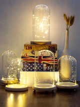 LED Wooden Base Glass Bell Jar Terrarium Display Dome