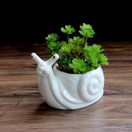 Cartoon Snail Ceramic Succulent Pot Cute Porcelain Flower Vase