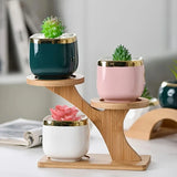Multifunctional Bamboo Plant Stand Tiered Wooden Display Rack for Succulents