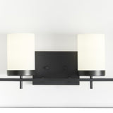 Visual Comfort Studio Zire 2-Light Brushed Nickel Vanity Light Fixture