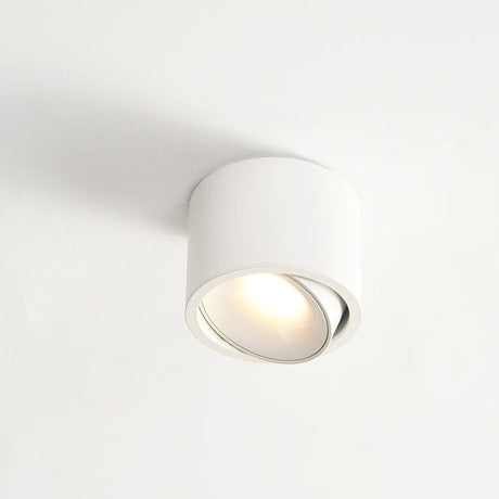 Modern Minimalist Round Adjustable LED Flush Mount Spotlight Aluminum 1-Light