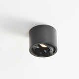 Modern Minimalist Round Adjustable LED Flush Mount Spotlight Aluminum 1-Light