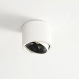 Modern Minimalist Round Adjustable LED Flush Mount Spotlight Aluminum 1-Light