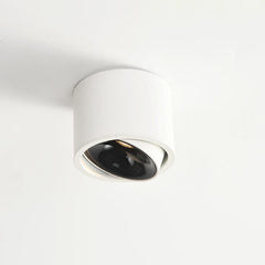 Modern Minimalist Round Adjustable LED Flush Mount Spotlight Aluminum 1-Light