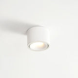 Modern Minimalist Round Adjustable LED Flush Mount Spotlight Aluminum 1-Light