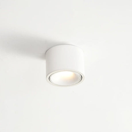 Modern Minimalist Round Adjustable LED Flush Mount Spotlight Aluminum 1-Light
