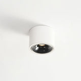 Modern Minimalist Round Adjustable LED Flush Mount Spotlight Aluminum 1-Light