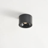 Modern Minimalist Round Adjustable LED Flush Mount Spotlight Aluminum 1-Light