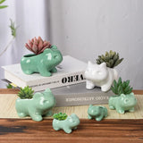 Cute Ceramic Mini Succulent Planter with Drainage Hole