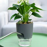 Transparent Self-Watering Double-Layer Plant Pot with Cotton Wick Reservoir