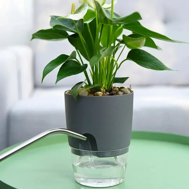 Transparent Self-Watering Double-Layer Plant Pot with Cotton Wick Reservoir