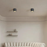 Vaelis Wabi-Sabi Cylindrical Ceiling Lamp Composite Integrated LED Surface-Mount