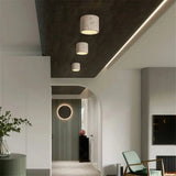 Vaelis Wabi-Sabi Cylindrical Ceiling Lamp Composite Integrated LED Surface-Mount