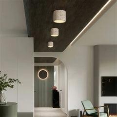 Vaelis Wabi-Sabi Cylindrical Ceiling Lamp Composite Integrated LED Surface-Mount