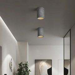 Vaelis Wabi-Sabi Cylindrical Ceiling Lamp Composite Integrated LED Surface-Mount