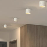Vaelis Wabi-Sabi Cylindrical Ceiling Lamp Composite Integrated LED Surface-Mount