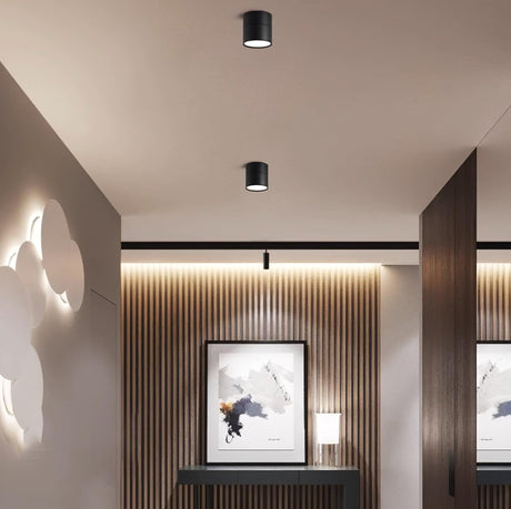 Ceiling spot lights above a slatted timber wall with a framed landscape print