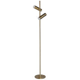 adjustable brightness floor lamp with frosted diffusers