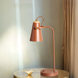 Adjustable industrial metal desk lamp further product image 10