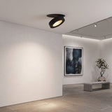 Black rotatable downlight angled from a white ceiling toward framed artwork
