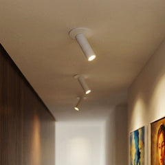 Adjustable tube ceiling spotlight in aluminium supplementary product view 11