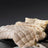 All Season Goose Down Comforter - Luxurious Puff Quilt for Cozy Nights - Puff Quilt Comforter - Hurbane Home