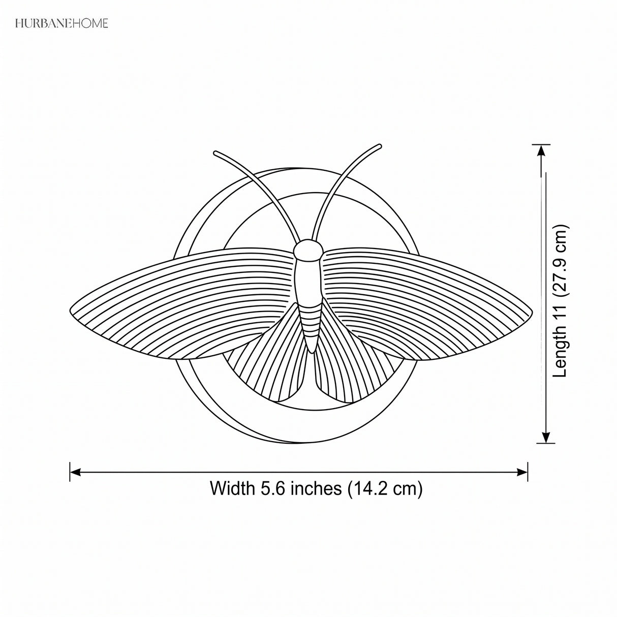 Line drawing showing moth sconce length 11 inches and width 5.6 inches