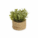 Artificial Plants for Home Decor - Lifelike Faux Greenery Accent - Faux Indoor Plants - Hurbane Home