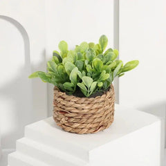 Artificial Plants for Home Decor - Lifelike Faux Greenery Accent - Faux Indoor Plants - Hurbane Home