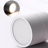 Detail of a black spot light head beside a white one showing the lit lens