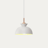 Pink pendant light shade in a soft matte finish with natural wood detail