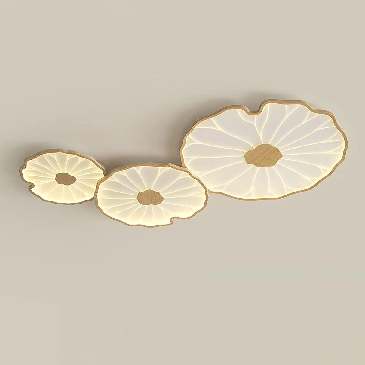 Ceiling lamp shades styled in a living room
