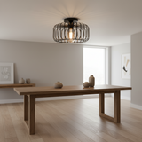 Modern Birdcage Ceiling Light with Iron Frame for Restaurant Corridor