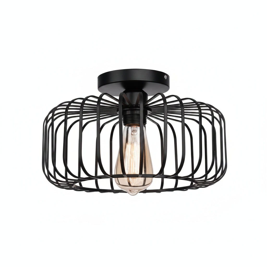 Close-up of ceiling light mount birdcage frame