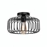 Close-up of ceiling light mount birdcage frame
