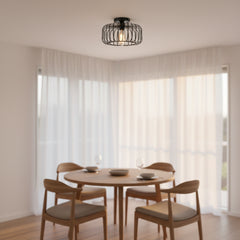 Close-up of ceiling light mount birdcage frame