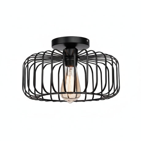 Close-up of ceiling light mount birdcage frame