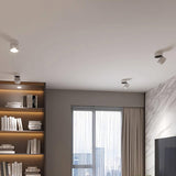 Spot lights lighting a full height bookshelf beside a curtained window