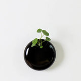 Ceramic Wall Hanging Vase – Porcelain Round Mounted Floral Decor - Hurbane Home
