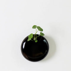 Ceramic Wall Hanging Vase – Porcelain Round Mounted Floral Decor - Hurbane Home