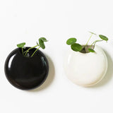 Ceramic Wall Hanging Vase – Porcelain Round Mounted Floral Decor - Hurbane Home