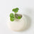 Ceramic Wall Hanging Vase – Porcelain Round Mounted Floral Decor - Hurbane Home