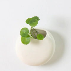 Ceramic Wall Hanging Vase – Porcelain Round Mounted Floral Decor - Hurbane Home
