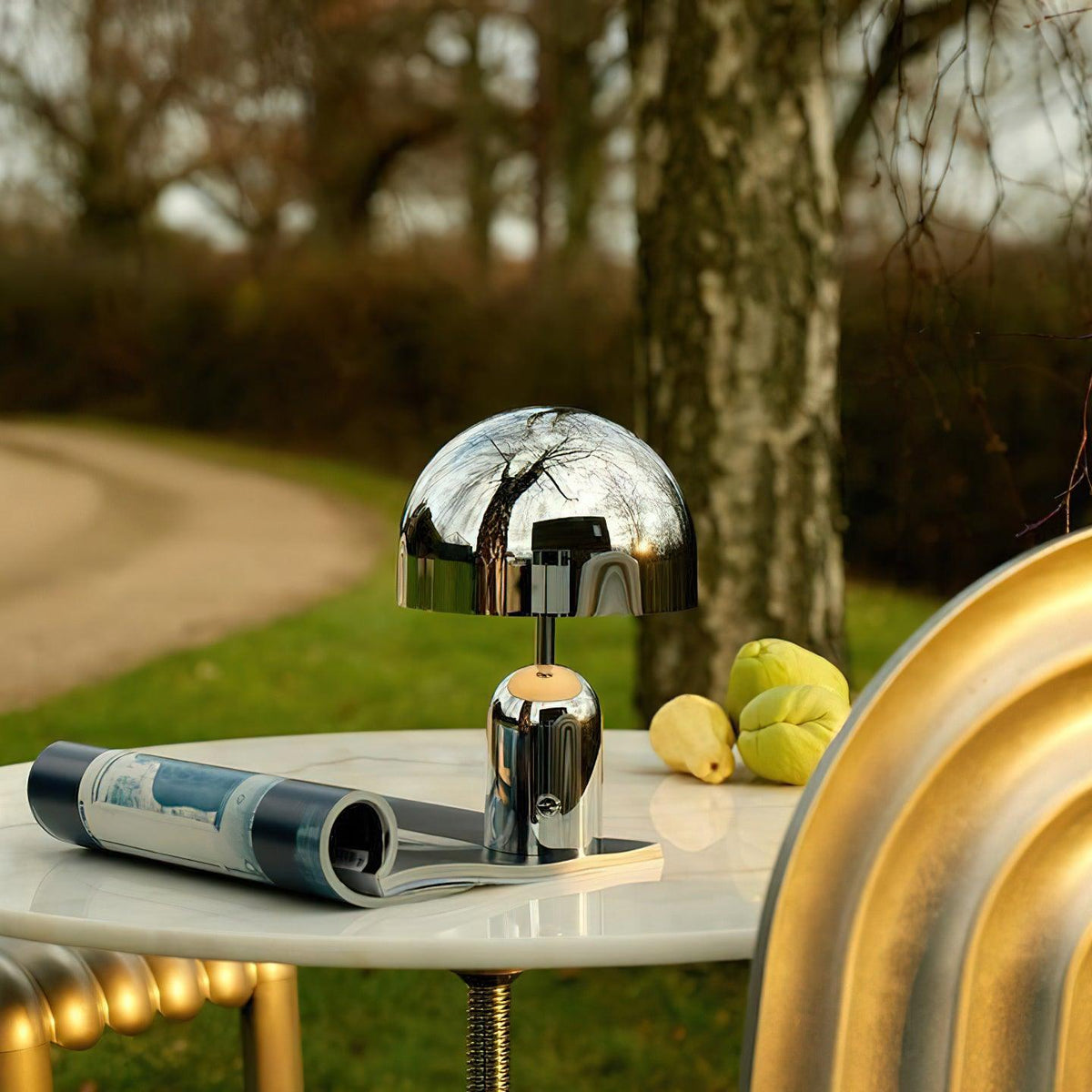 Chrome dome lamp photographed on a garden table with fruit and a magazine