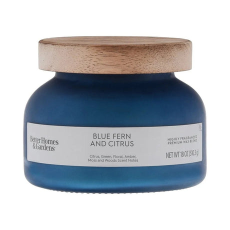 Citrus Scent Candles – Blue Fern 2 - Wick Frosted Jar - Hurbane Home